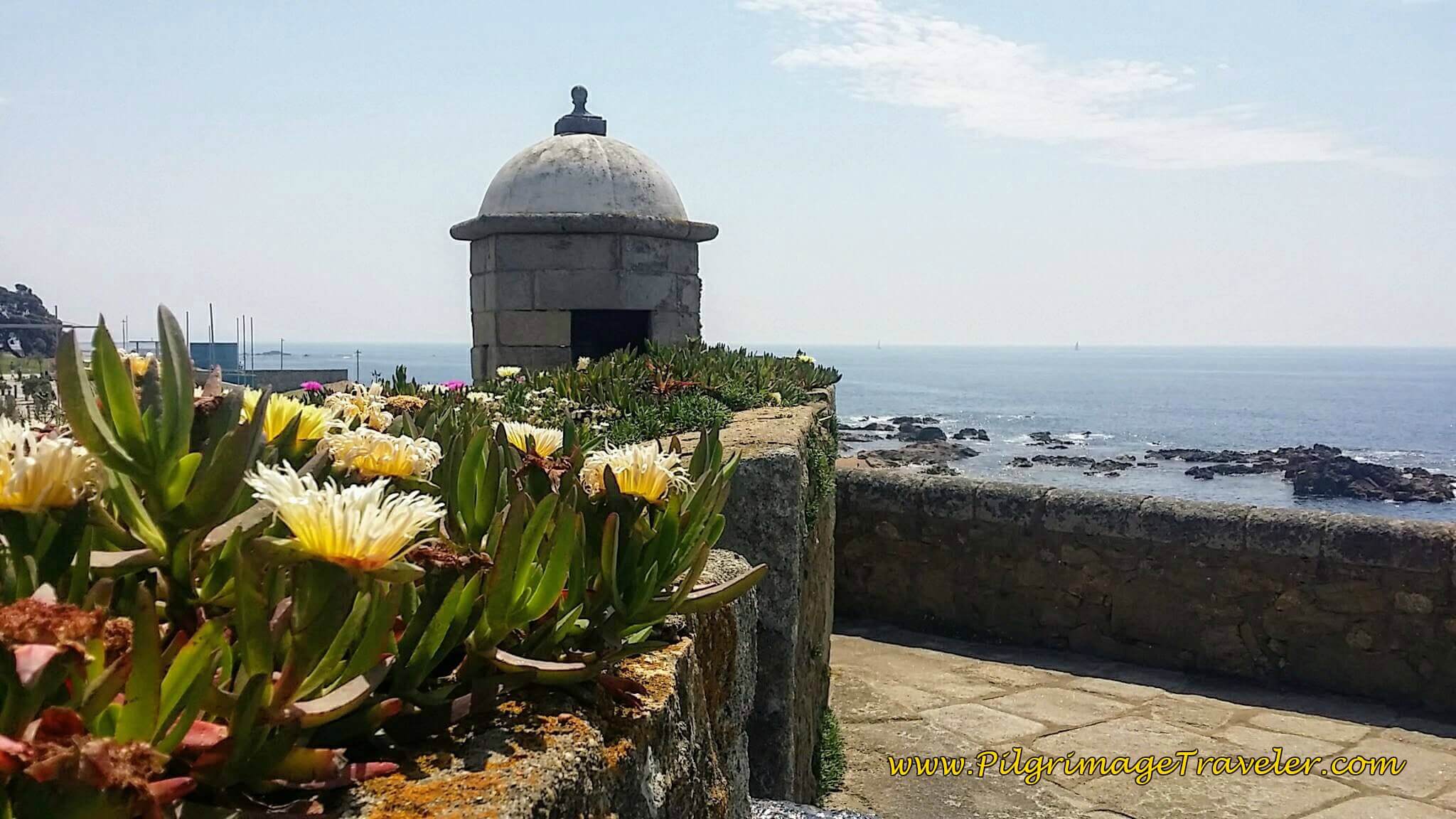 Gorgeous Yellow Flower and Sentry House at the Castelo do Queijo in Porto, Portugal