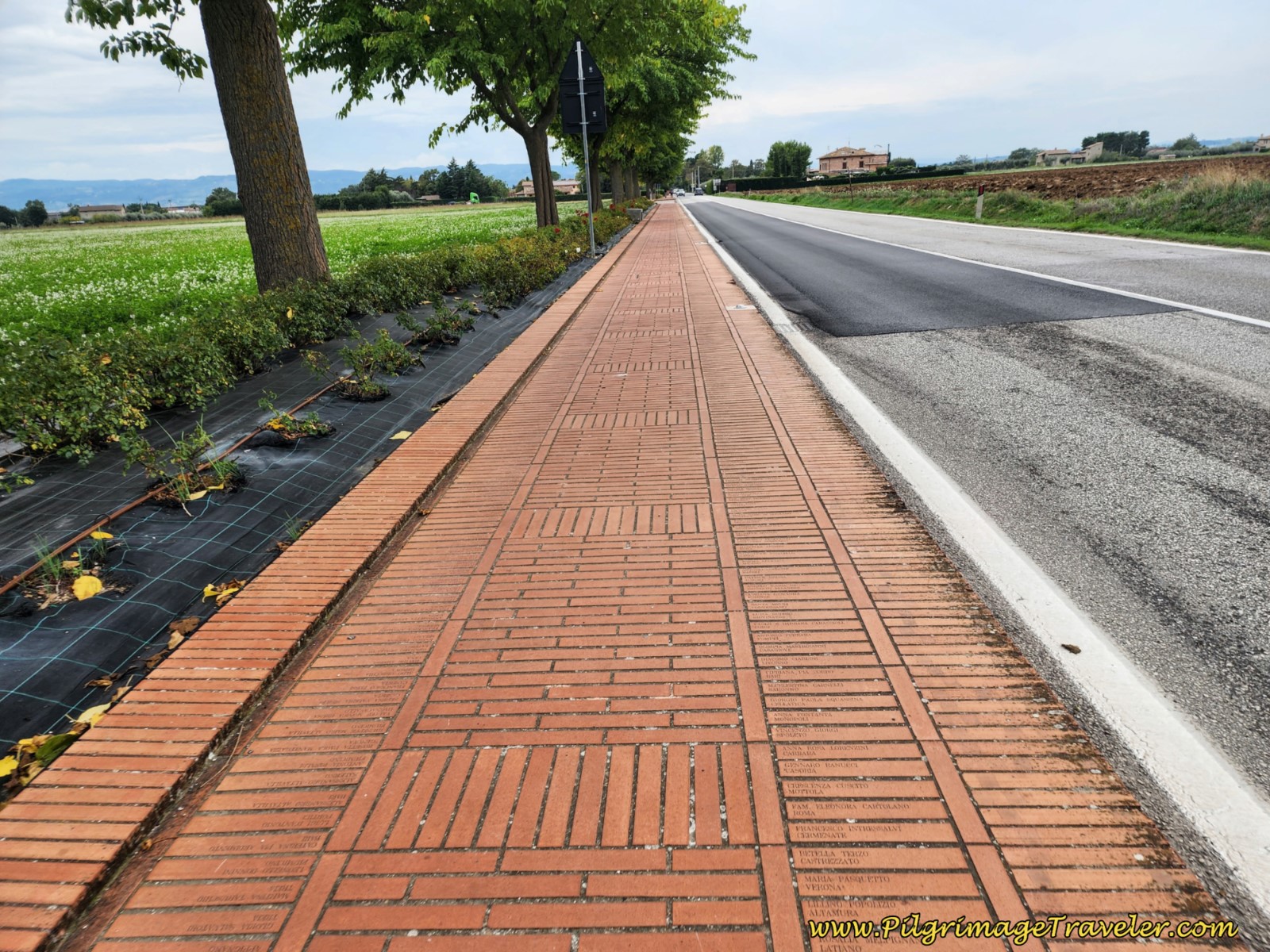 Path of Peace and Happiness