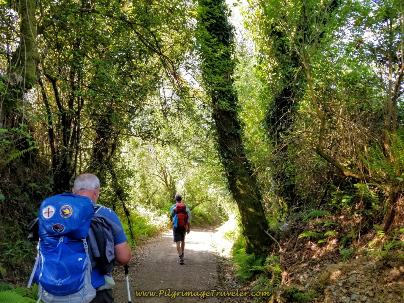 Steve and Rich Continue on Lane for 1/2 Kilometer More on day seven of the English Way