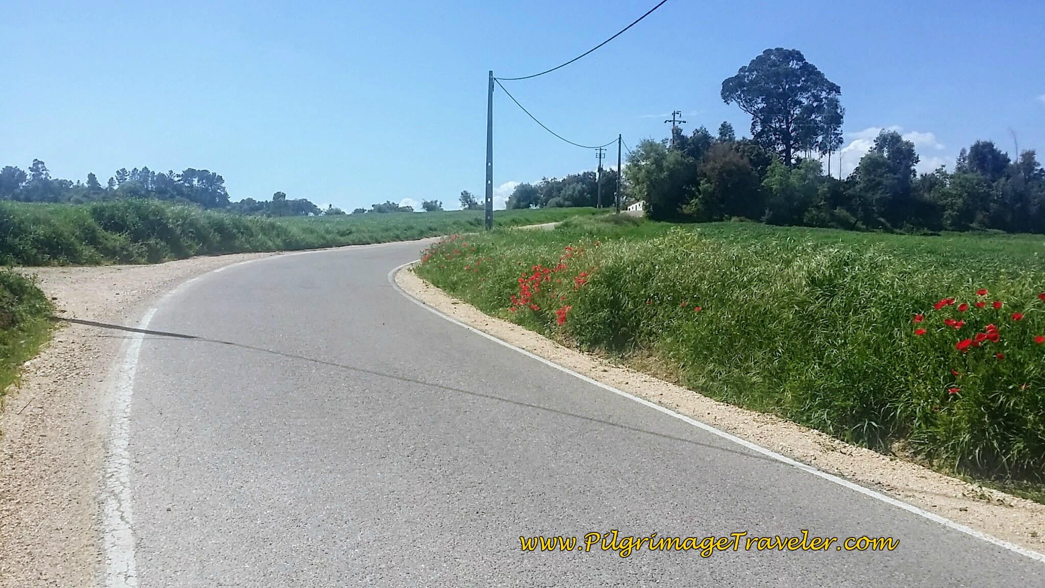 Up Long, Hot Hill on Pavement