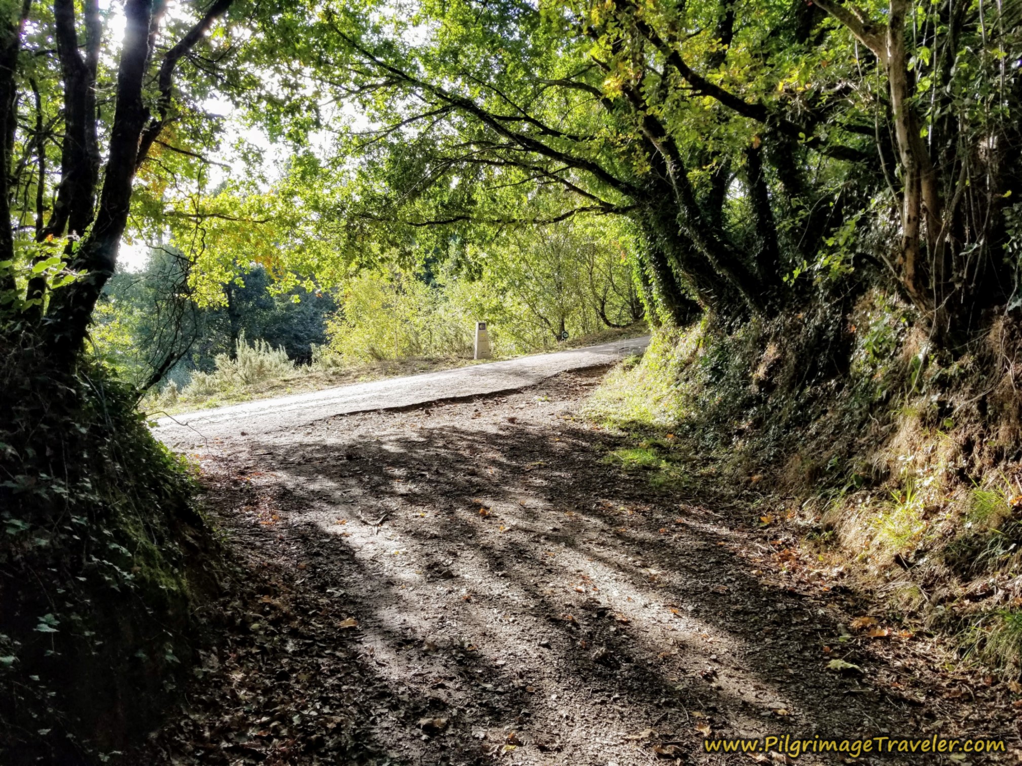 Come Out Onto This Pavement