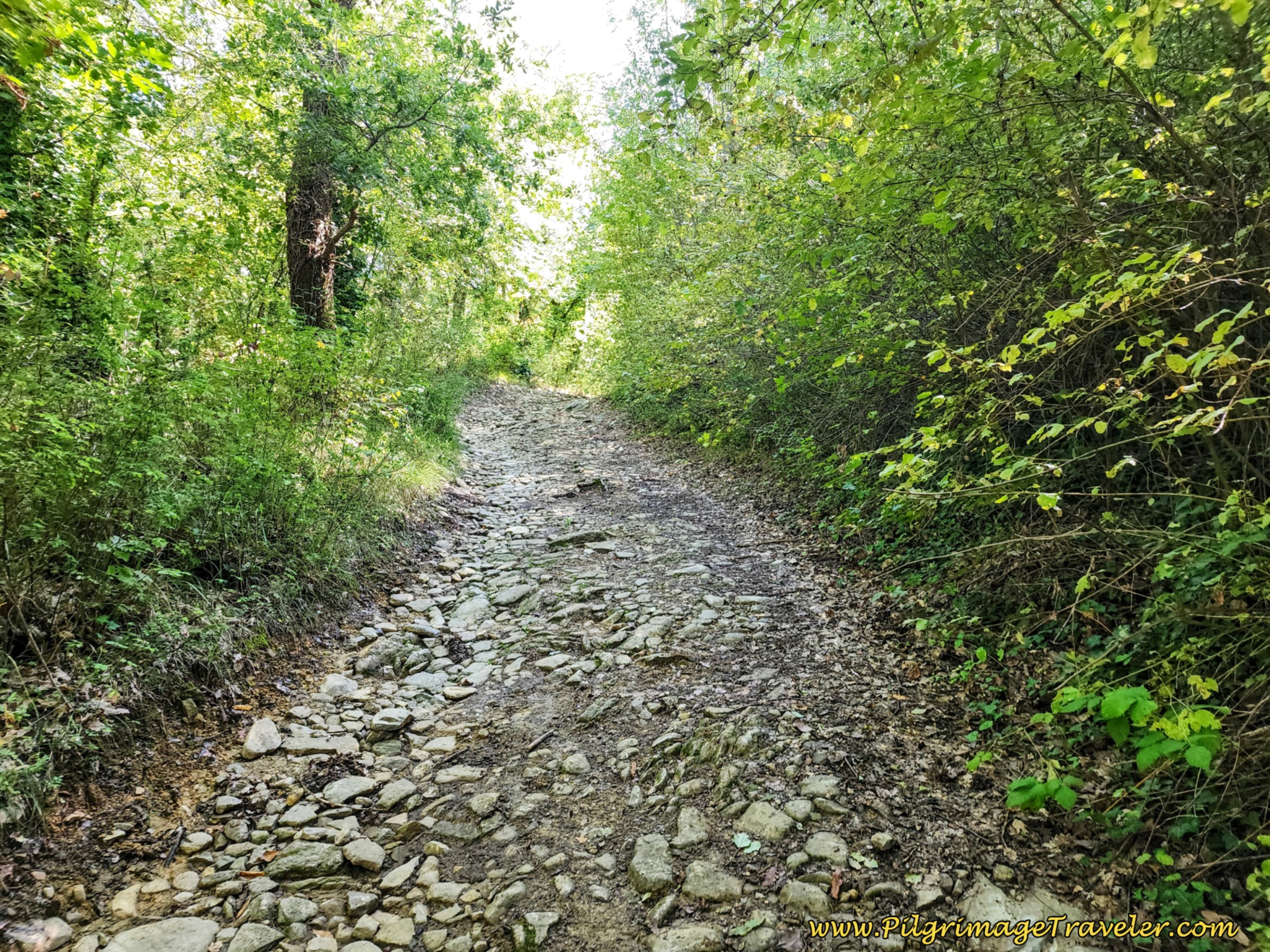 Nearing the Third Altitude Top