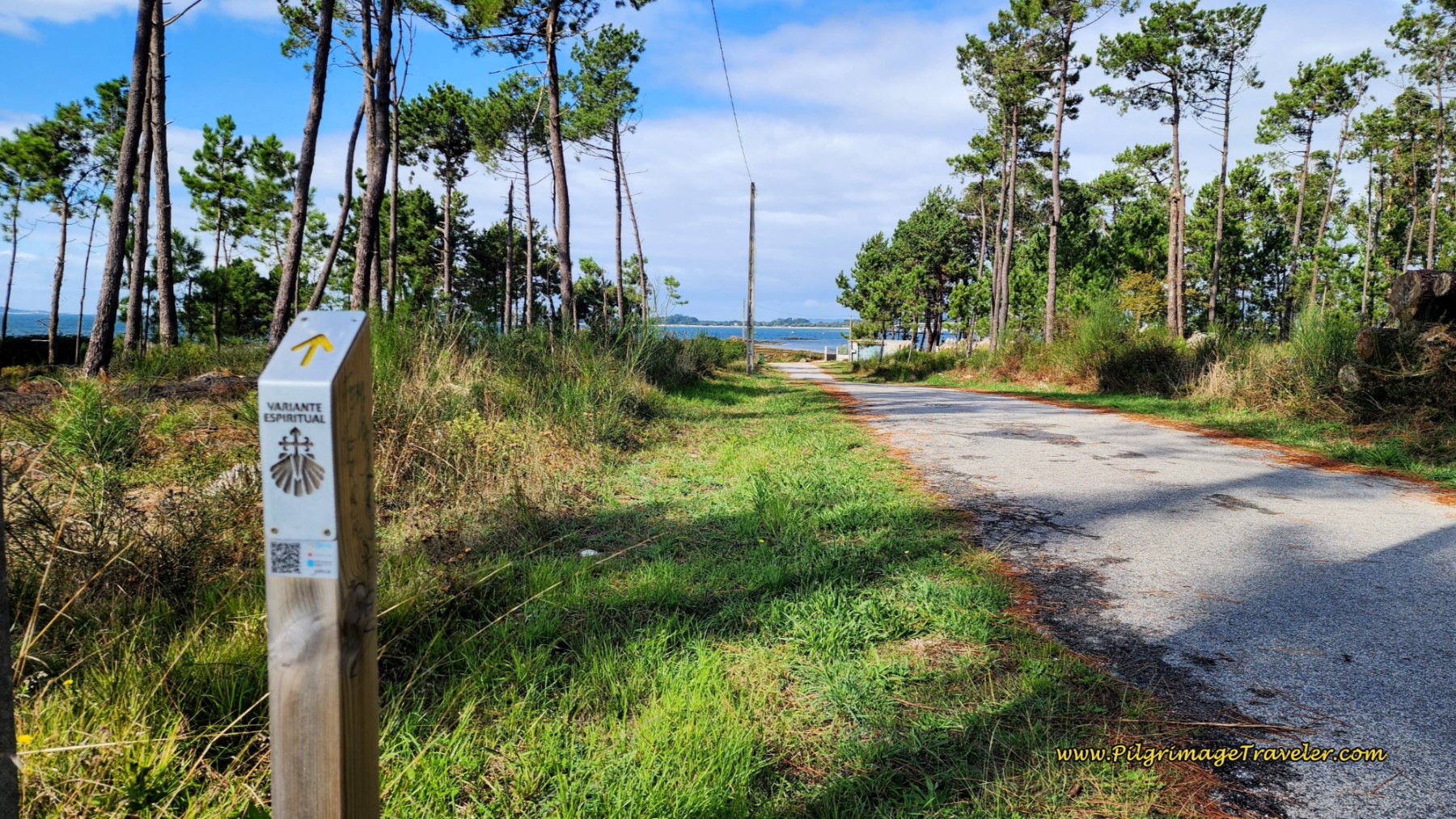 The Seacoast is Near!
