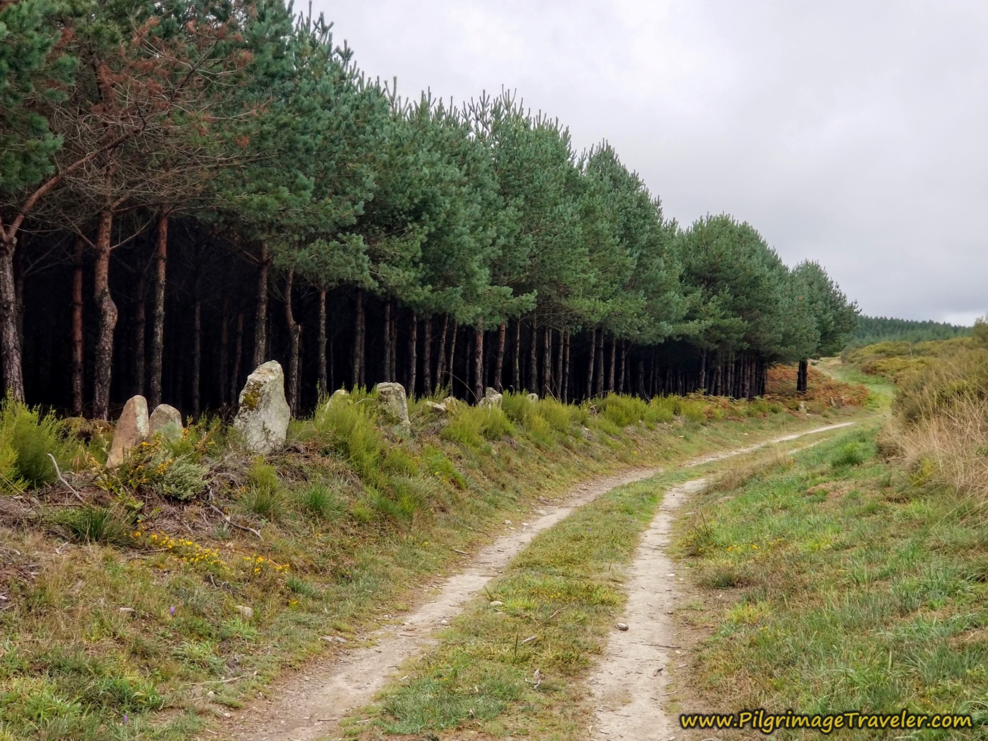 Lane Parallels the OU-113