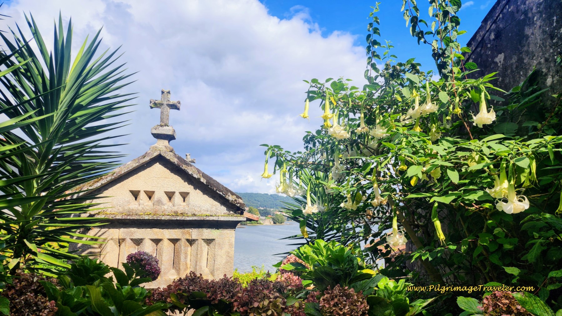 Seaside Hórreo, Nestled by Angel's Trumpets, Combarro, Spain