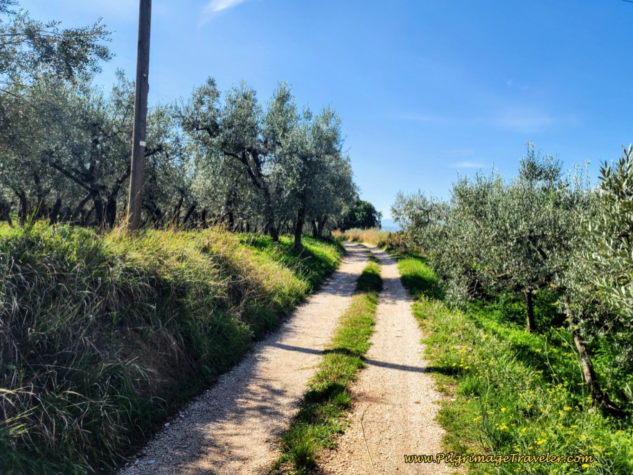 Tractor Lane Towards Chiesa di Sant'Andrea