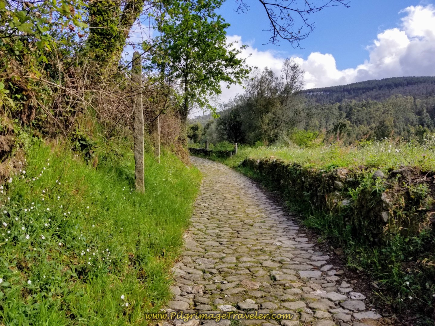Cobblestone through the Portuguese Countryside on day eighteen on the Central Route of the Portuguese Camino
