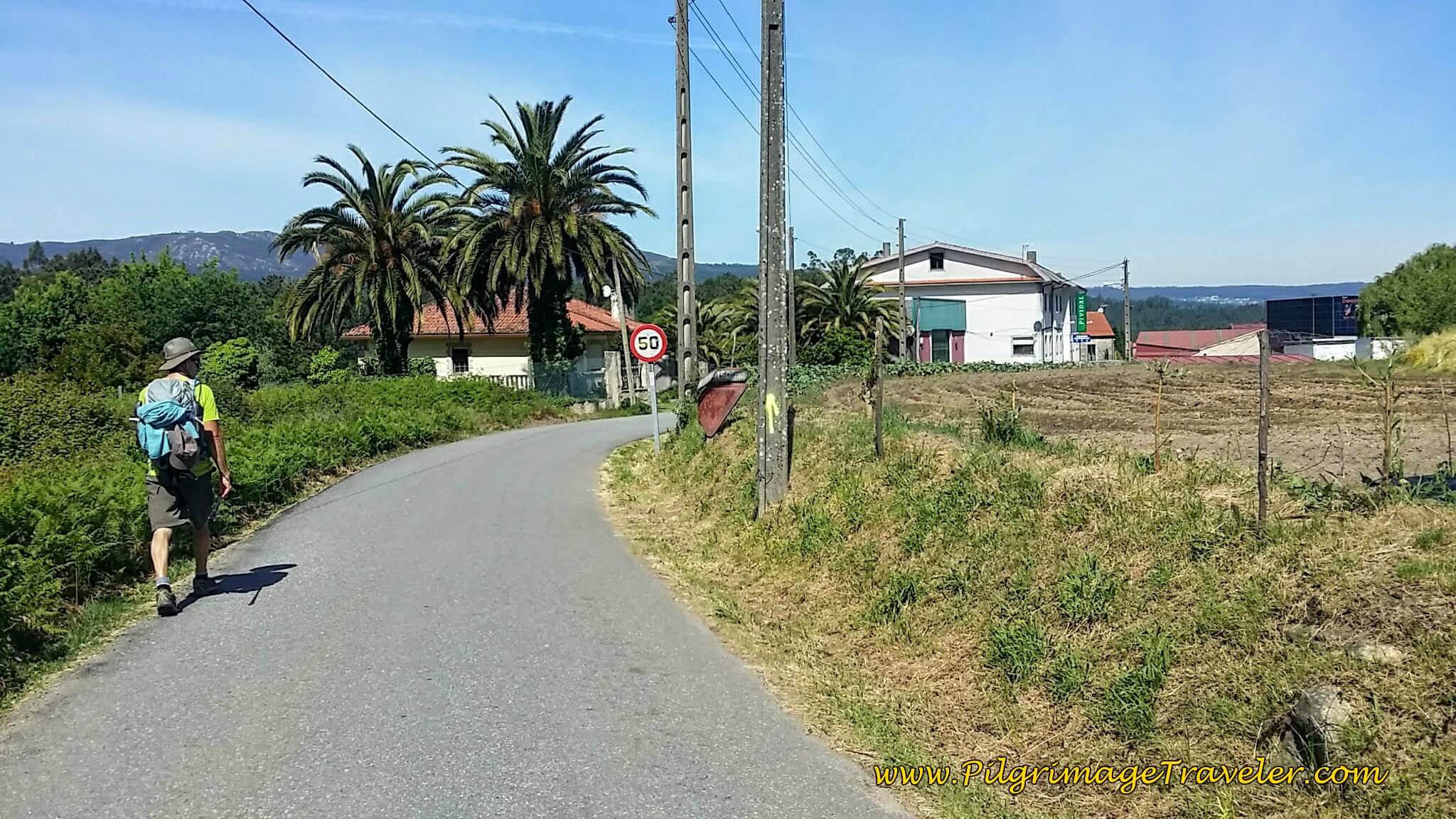 Towards the Juncture with the N-550 in Picaraña on Day Twenty-Four, Portuguese Camino