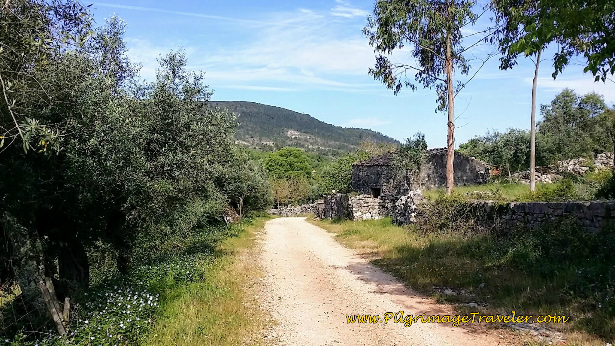 Country Charm Leaving Zambujal