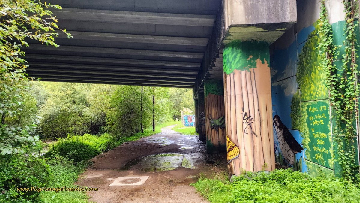 Walk Under PO-542 Overpass