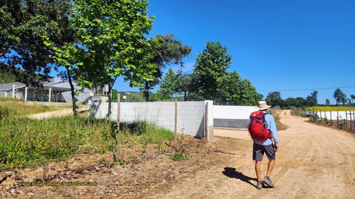 After Leaving the Forest, Arrive at Farm