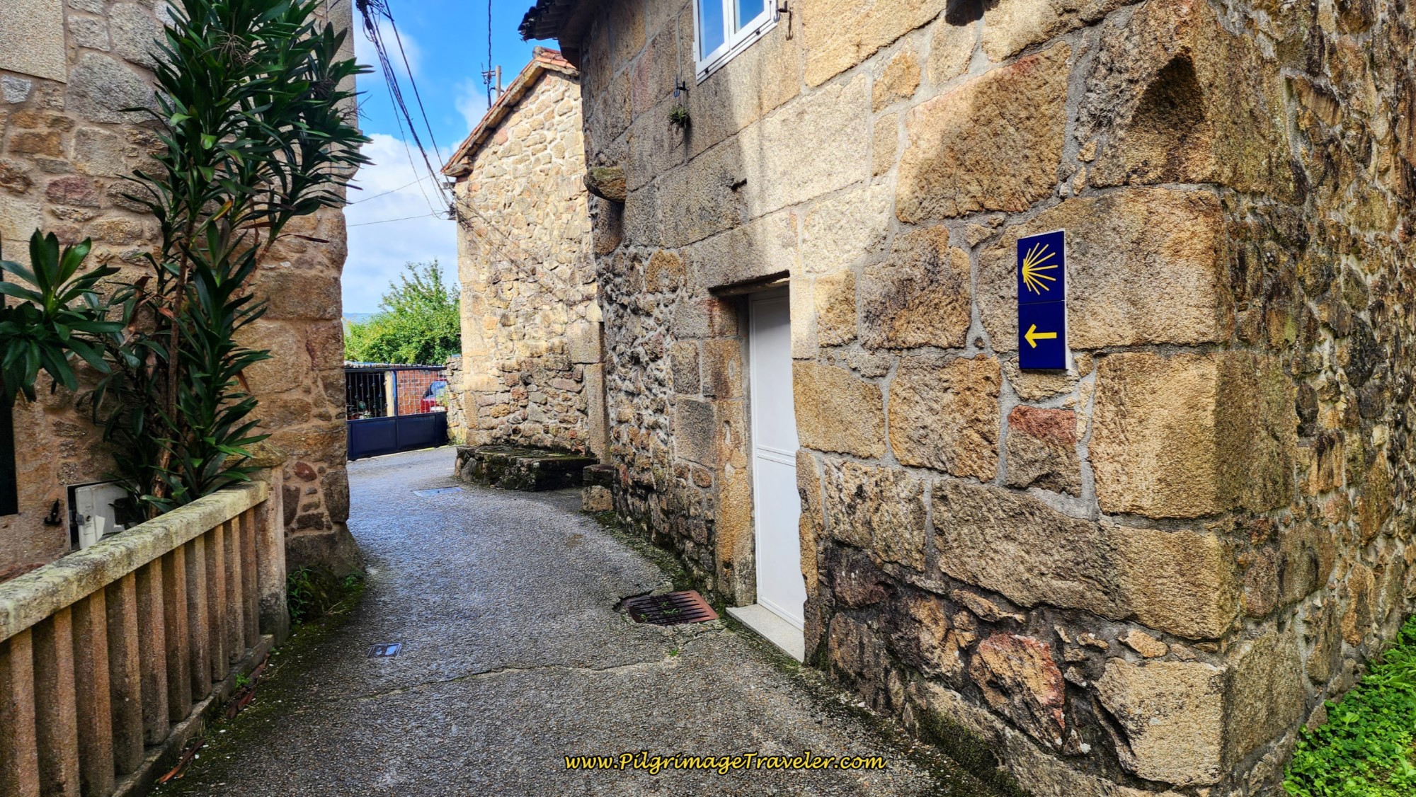 Meander Through O Areal