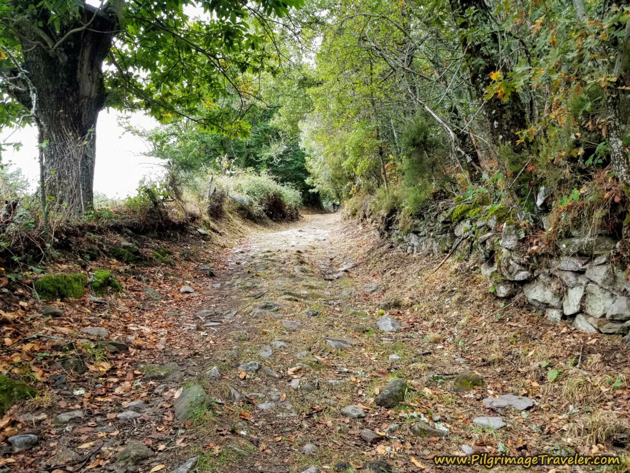 Remnants of Roman Road on the Camino Sanabrés from Lubián to A Gudiña