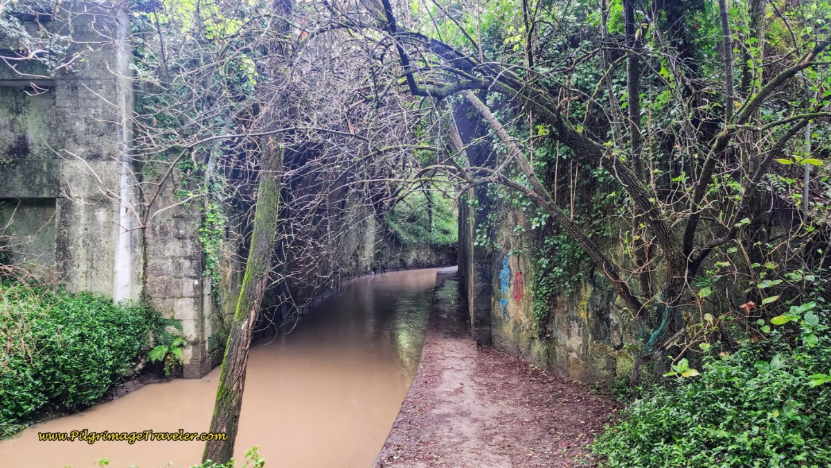 Walk Under Railroad Overpass on Ledge