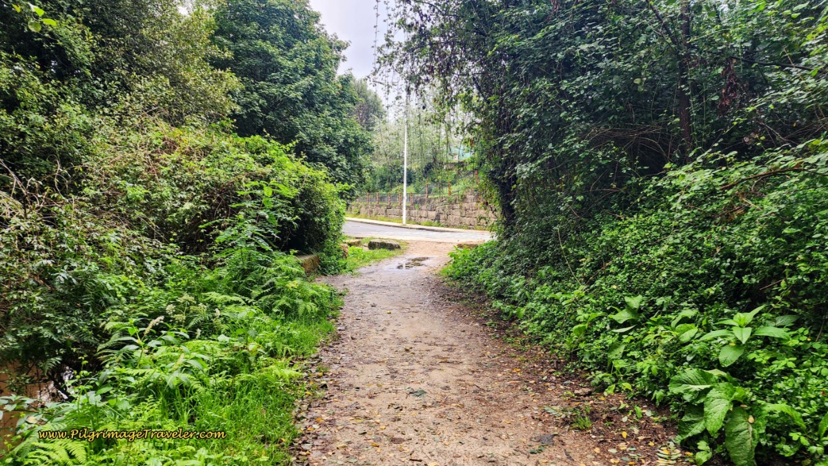 Camino Complementario Ends