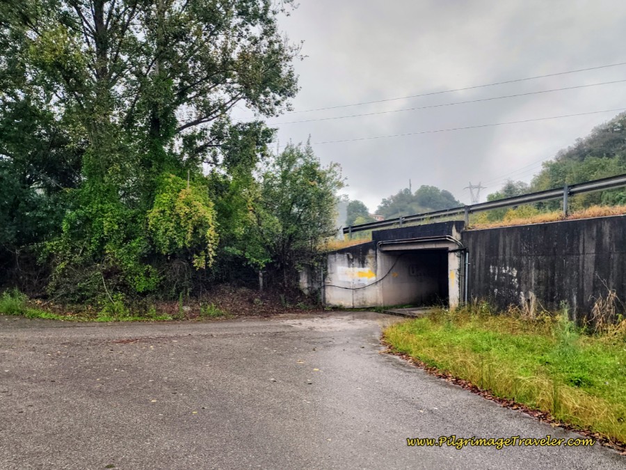 Alternative Off-Pavement Route Through Tunnel Alternative Off-Pavement Route Through Tunnel