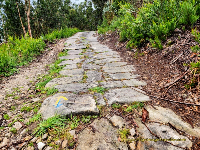Ancient Road to the Altitude Top of the Day Ancient Road to the Altitude Top of the Day