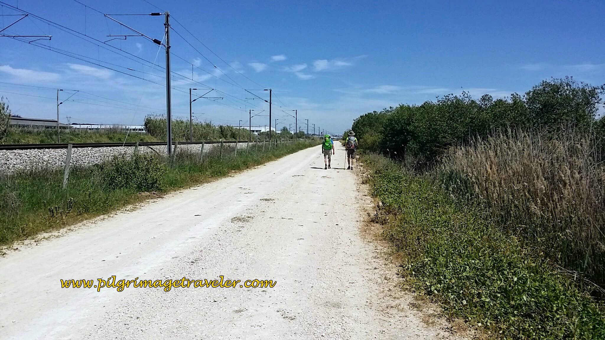 Along the Railroad Tracks Towards Azambuja, Camino Portugués