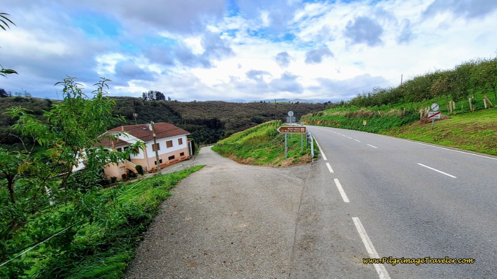 Cross the AS-350, Main Road Through Obona