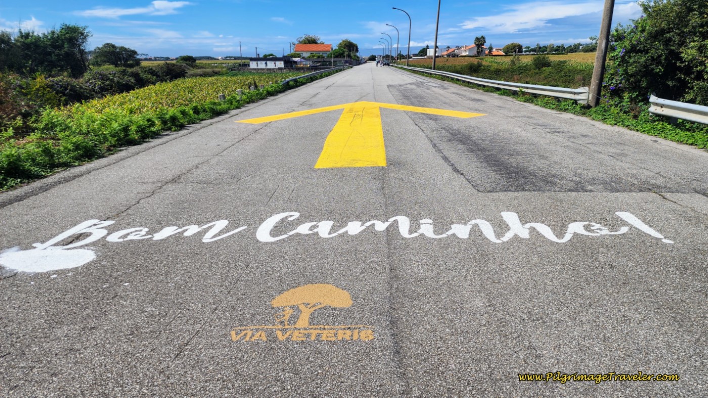 Along the Rua da Ponte Dom Luis Filipe