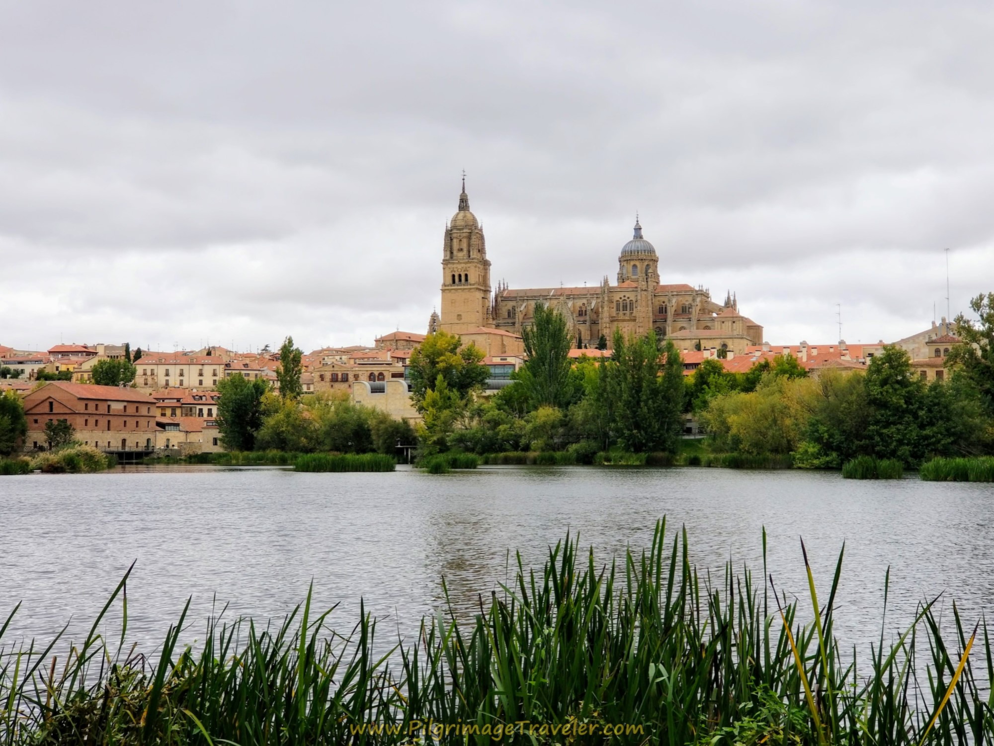 Salamanca: The Official Start of the Camino Fonseca