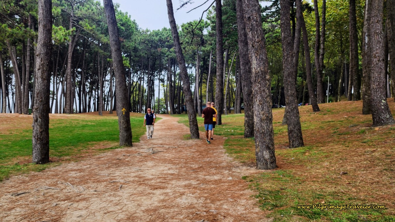 Cross the Piñeiral de Samil Cross the Piñeiral de Samil
