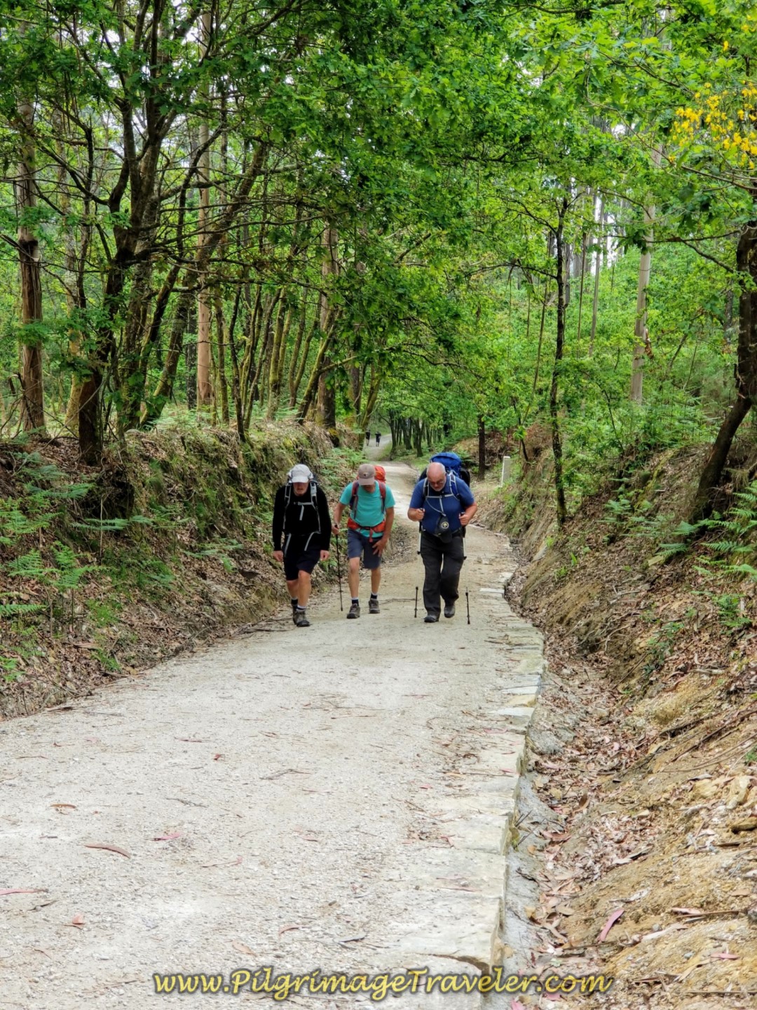 Gentlemen Climbing on Third Trail System of the Camino Fisterra on day one.