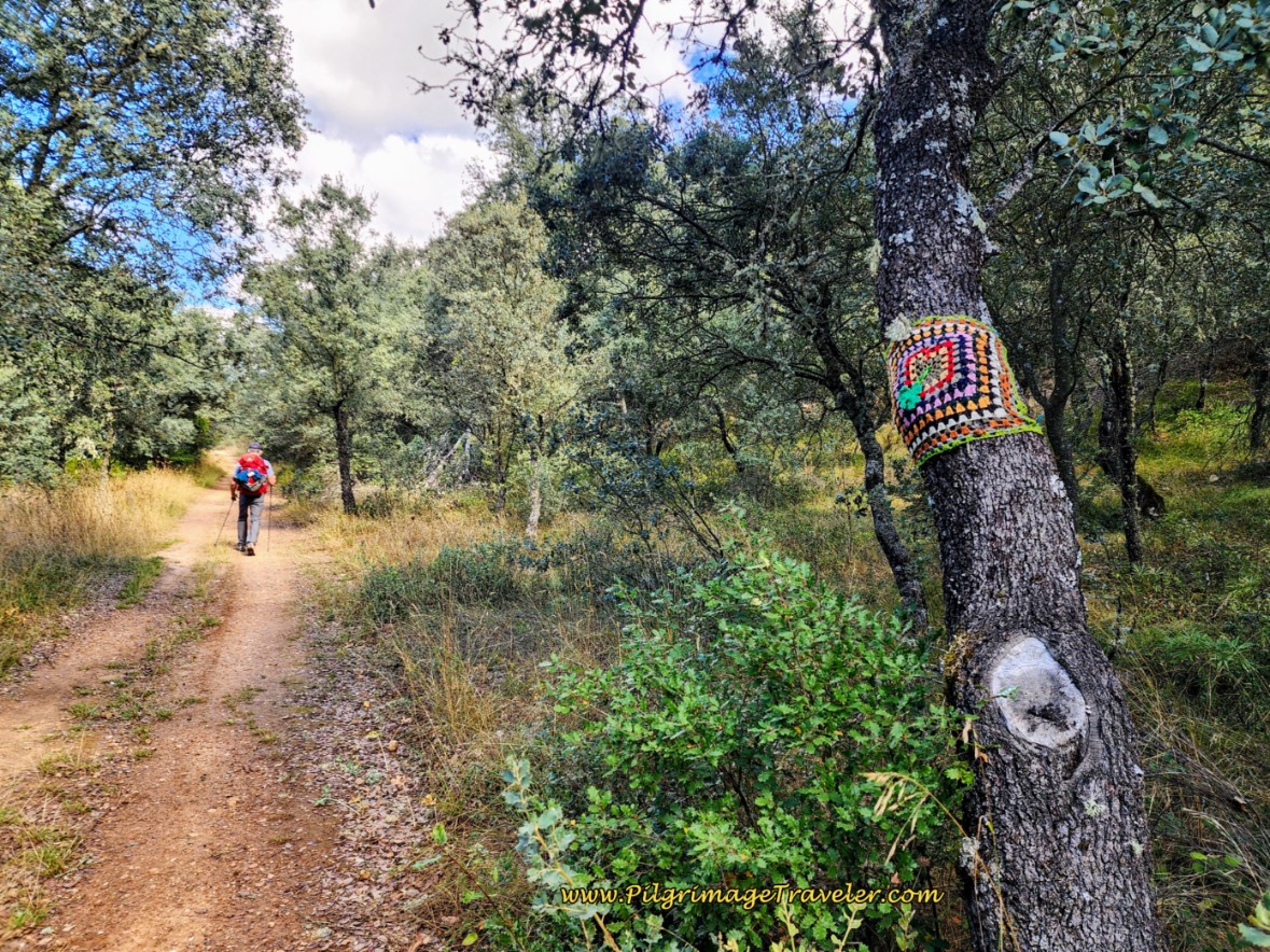 Northward Past Cabanillas