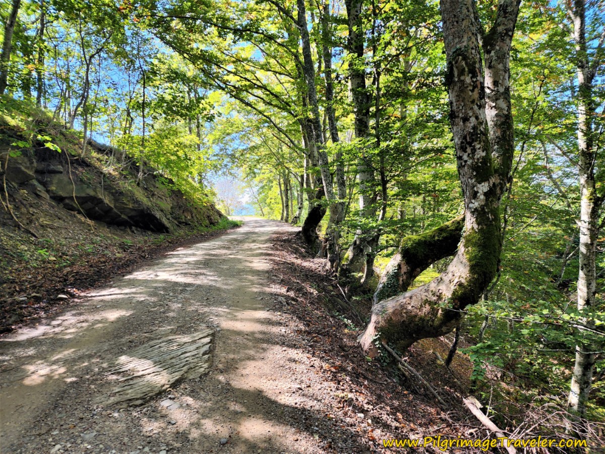 Onward Up Gravel Road on the Way of St Francis Pieve Santo Stefano to Montagna