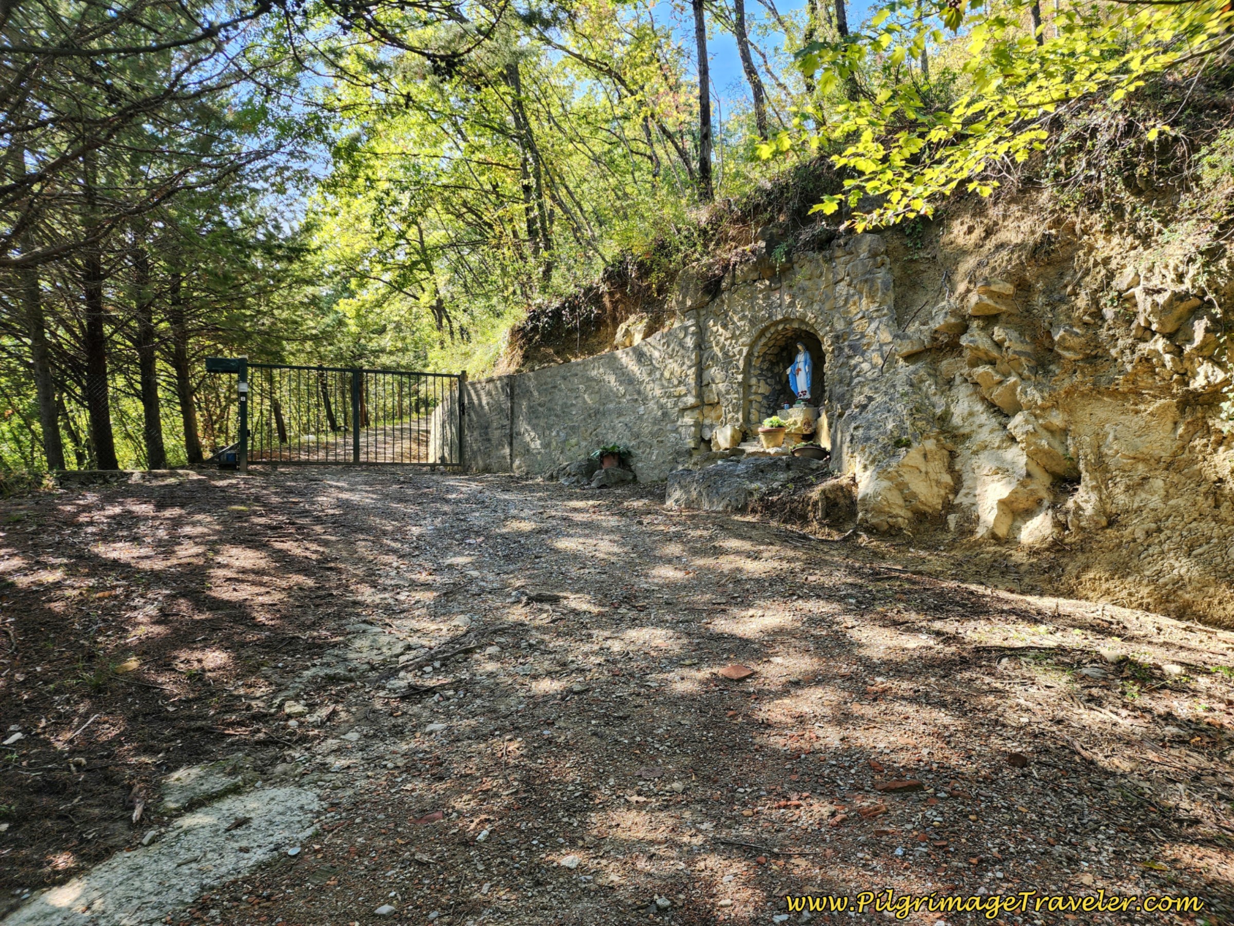 Third Altitude Top at Niche