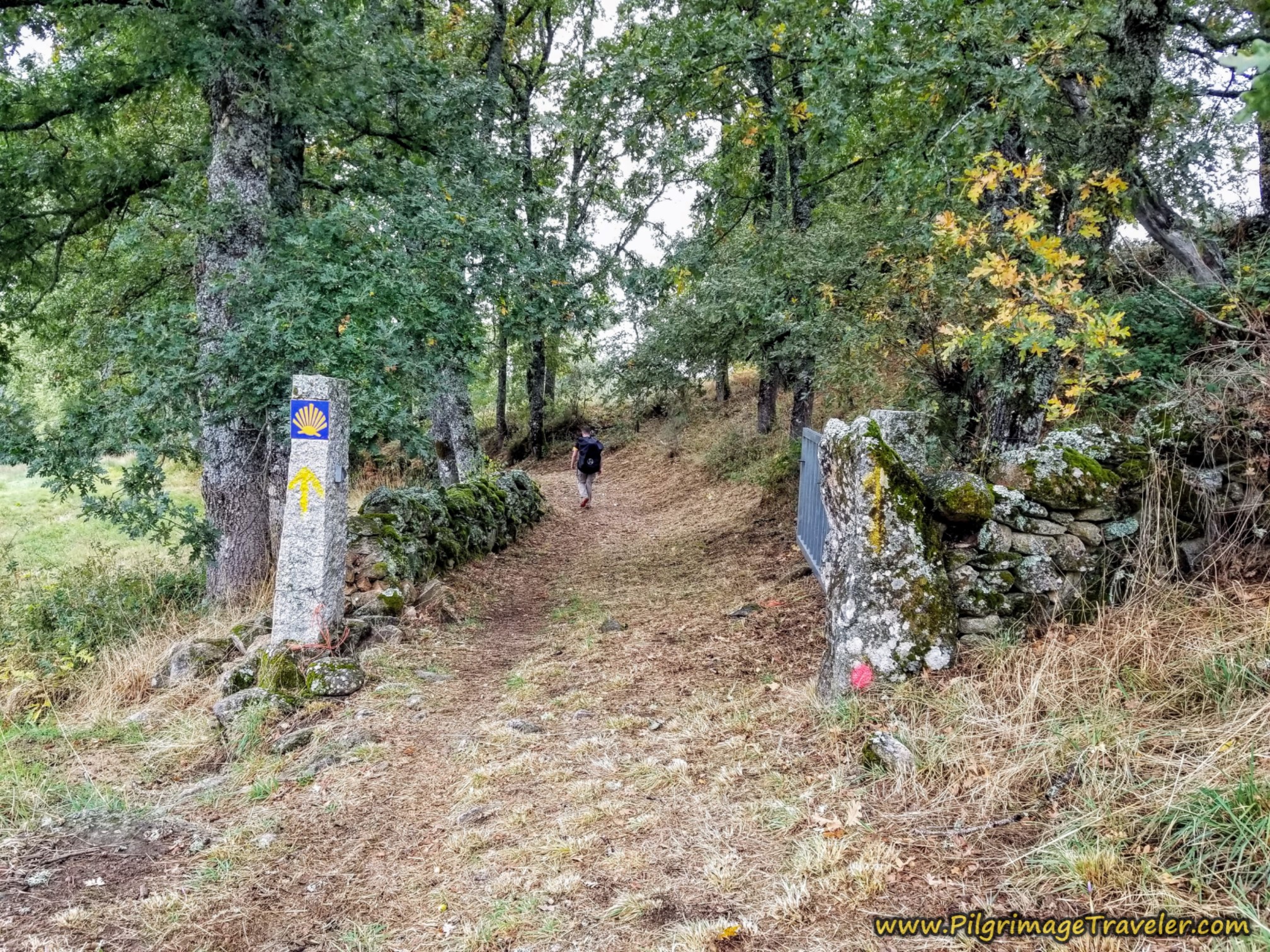 Waymark Poles on the Camino Sanabrés from Lubián to A Gudiña