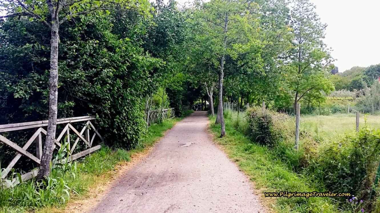 Senda do Lagares Trail System, Lagares River