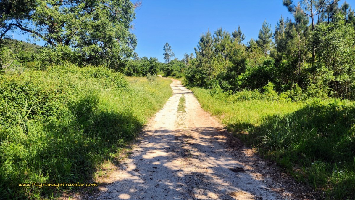 Ongoing, Climbing Lane Towards Areias