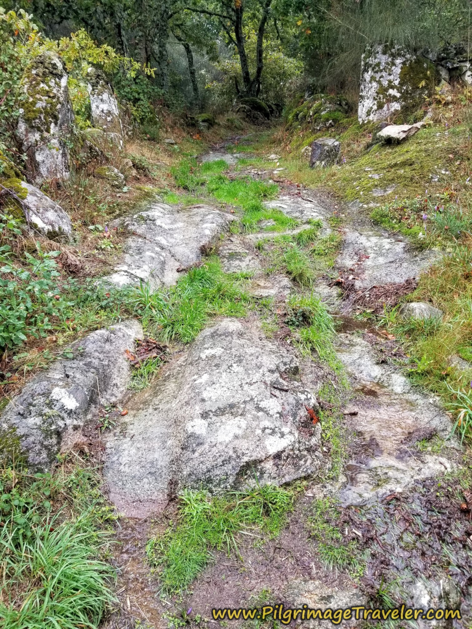 Walking on the Ancient Way, Camino Sanabrés, Vilar de Barrio to Xunqueira de Ambía