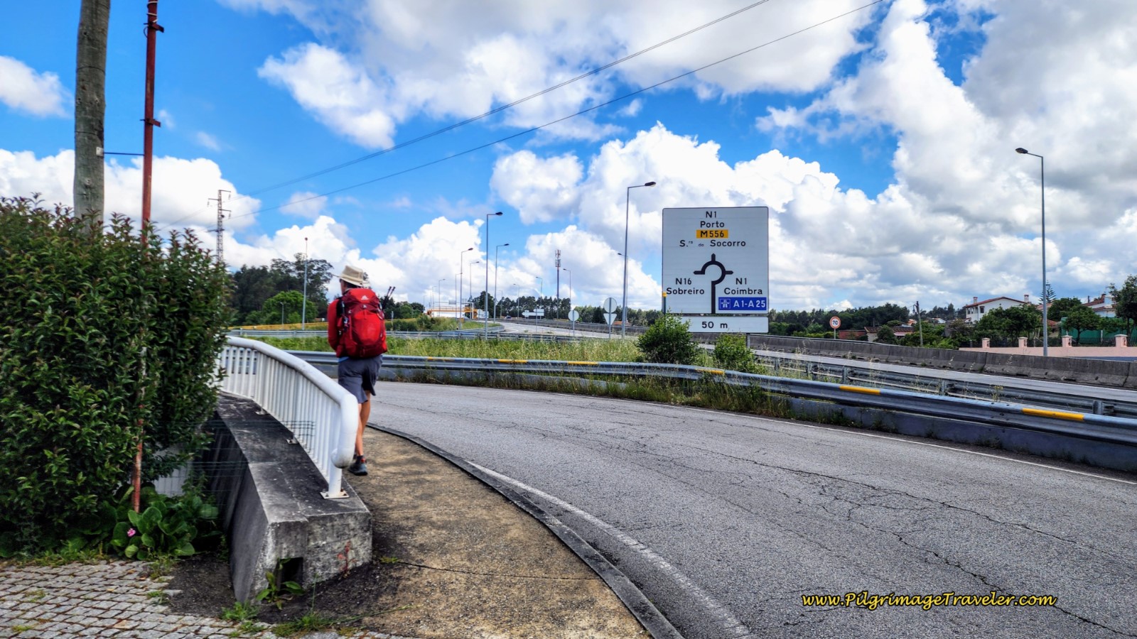 Approaching the Familiar N1 Once Again