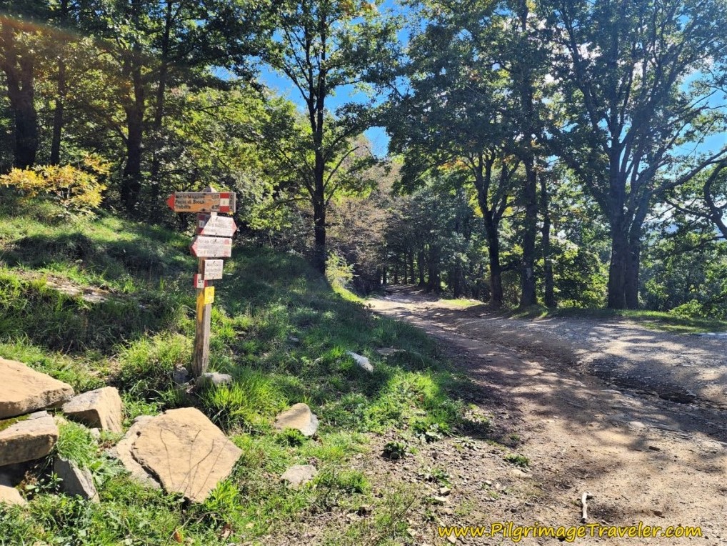 Cammino Bends to the Left