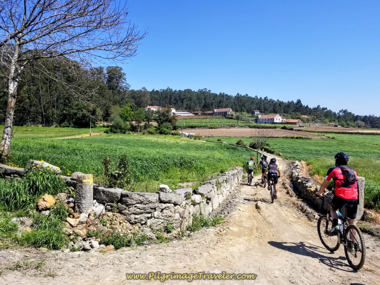 Bicycles Share the Rua Caminho de Santiago on day sixteen on the Central Route of the Portuguese Way