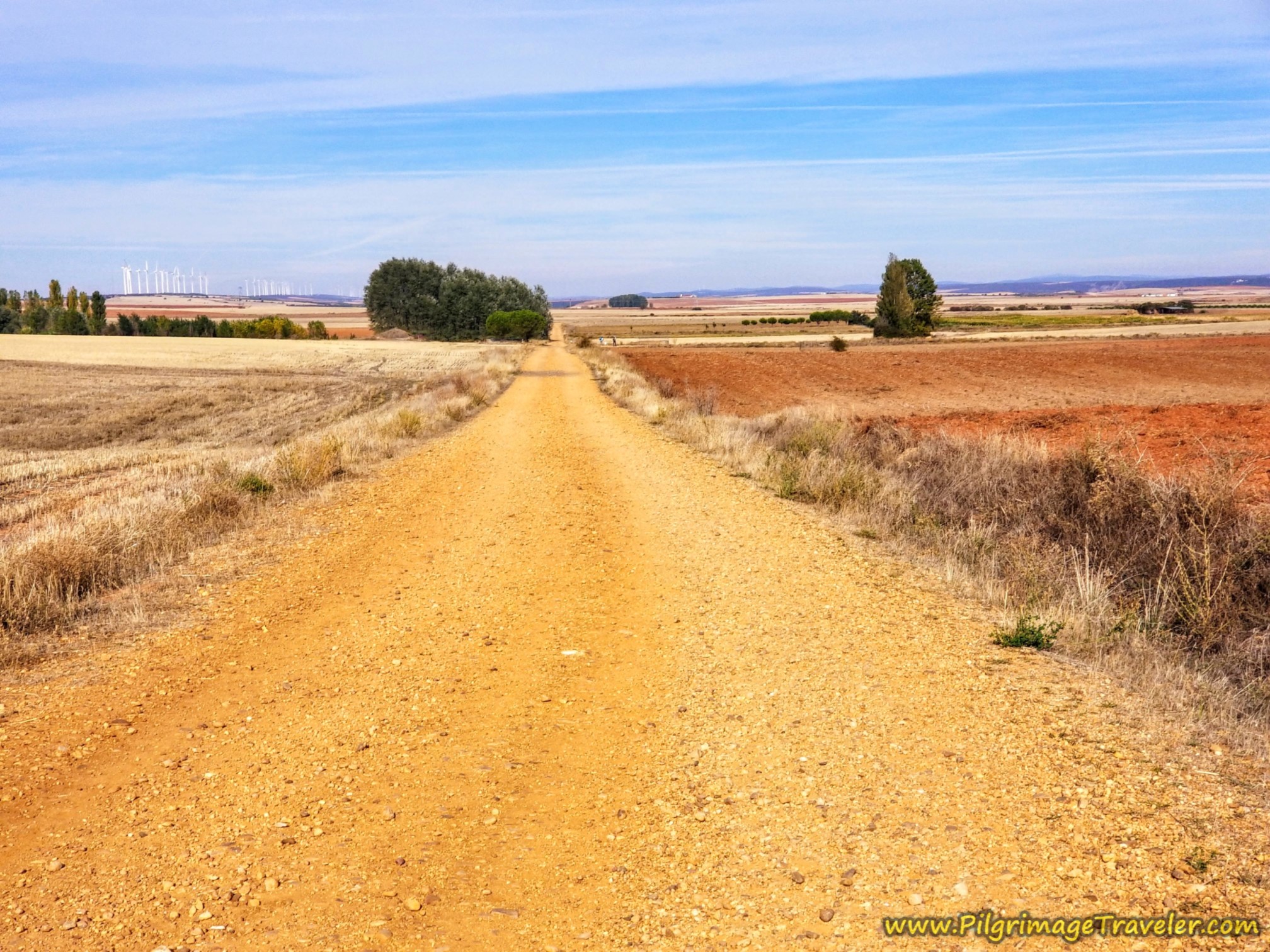 Road Bends Westward Toward Trees