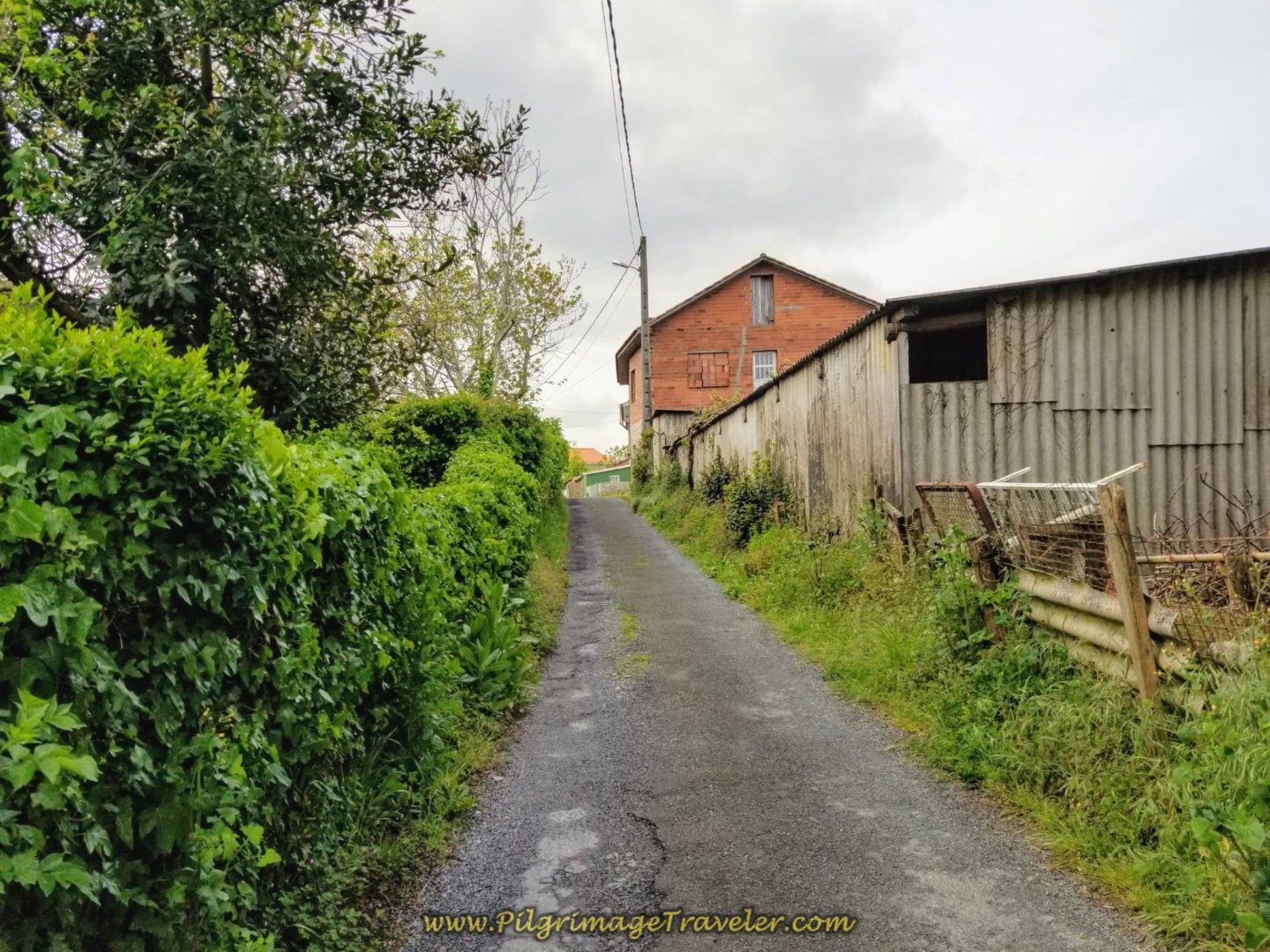 Side Lane Avoids the Highway on day two of the English Way