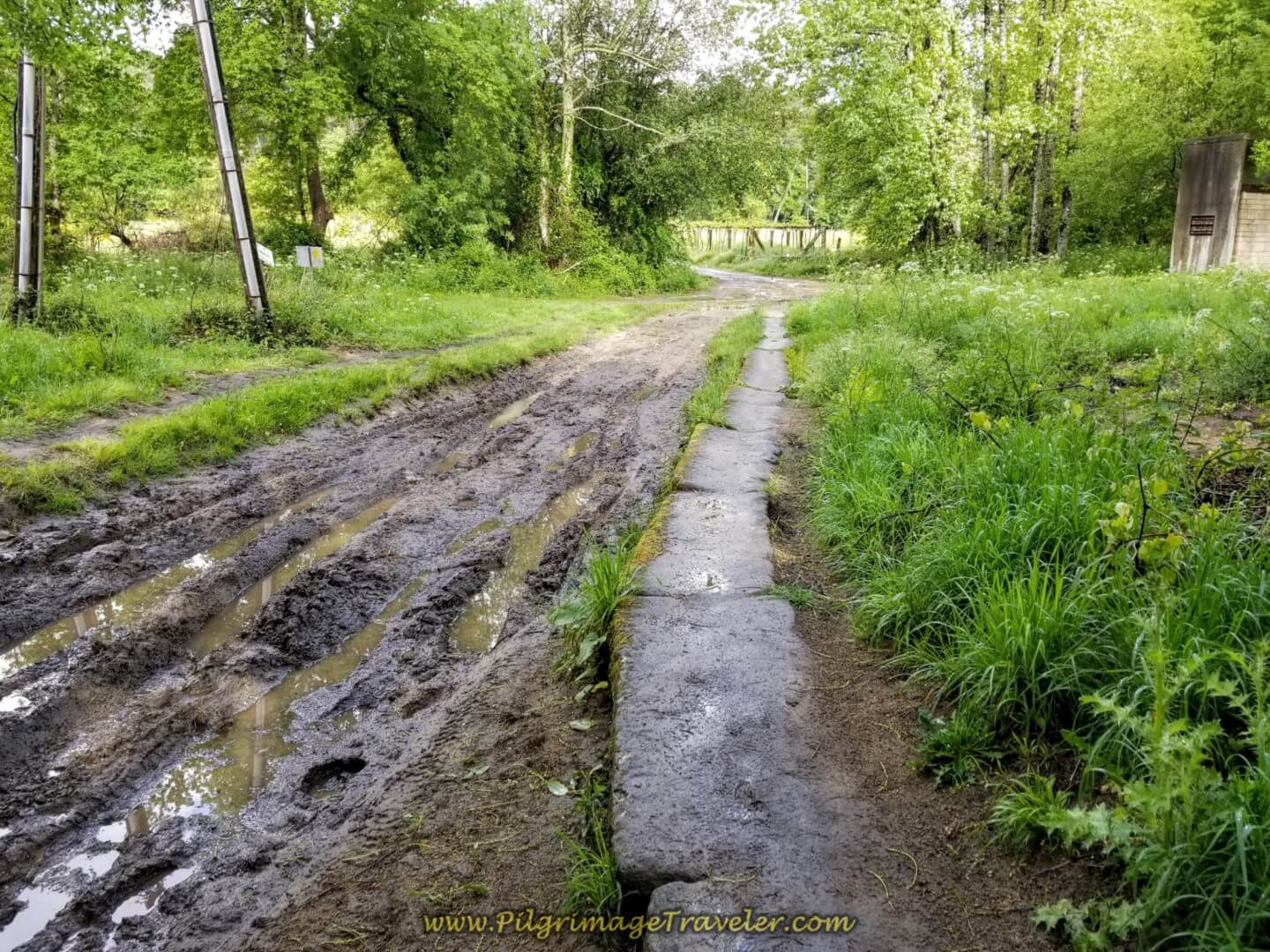 Stone Path Beside Muddy Ruts in the Road on day twenty on the central route of the Portuguese Camino