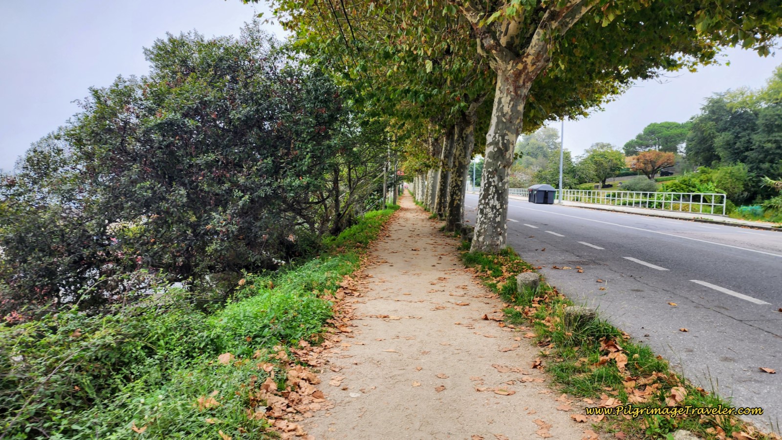 Path Along the Avenida de Samil Path Along the Avenida de Samil