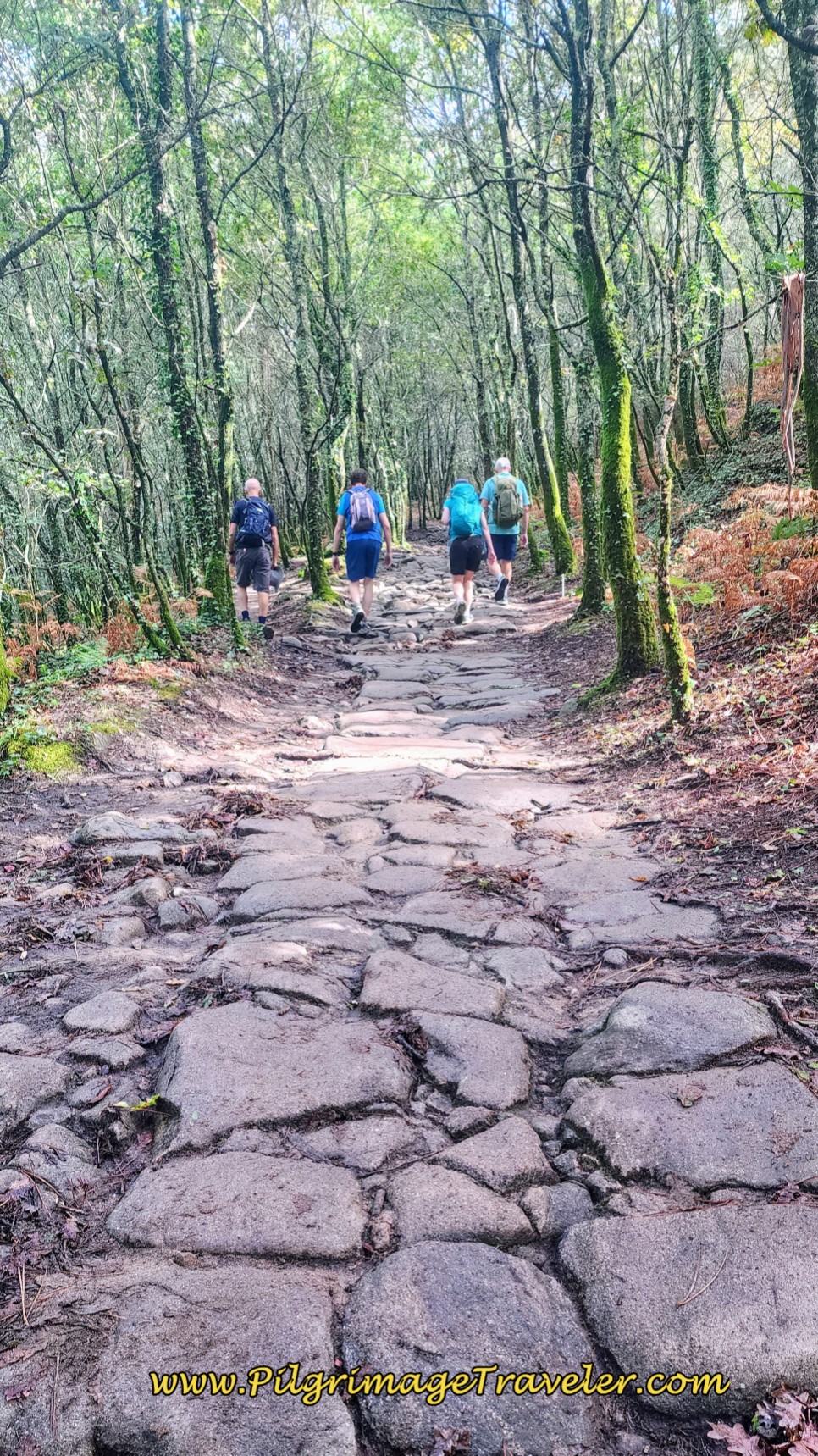 Ancient Road to O Faramello