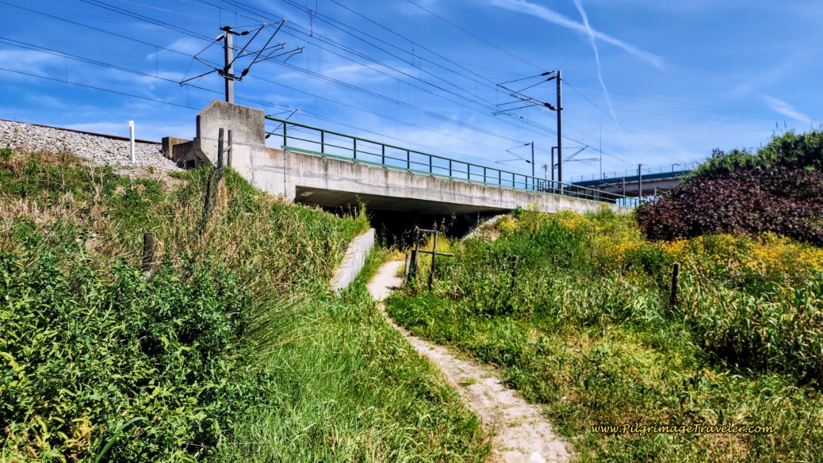 Walk Under the Railroad Tracks on a Path