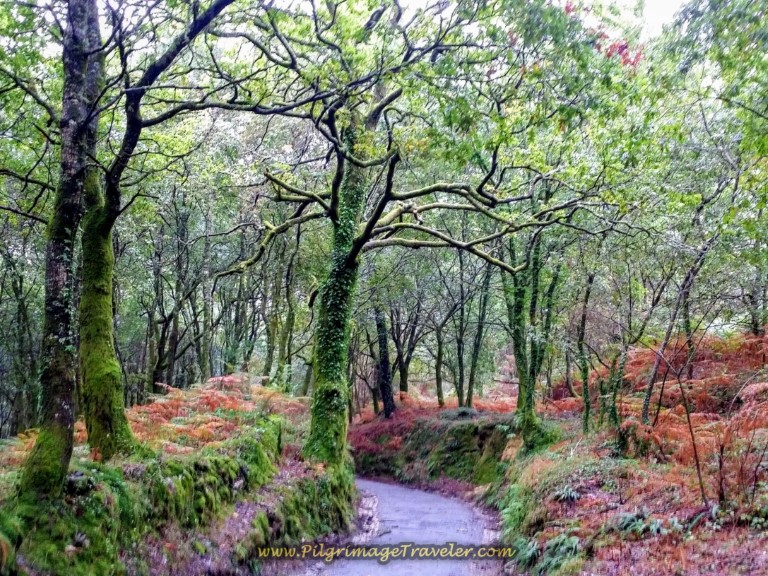 Camino Finisterre and Muxía - Day 1: Santiago to Negreira, 20.8 Kms (12.92 Miles)