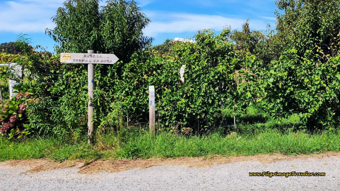 Follow Signage Along Highway Exit Ramp