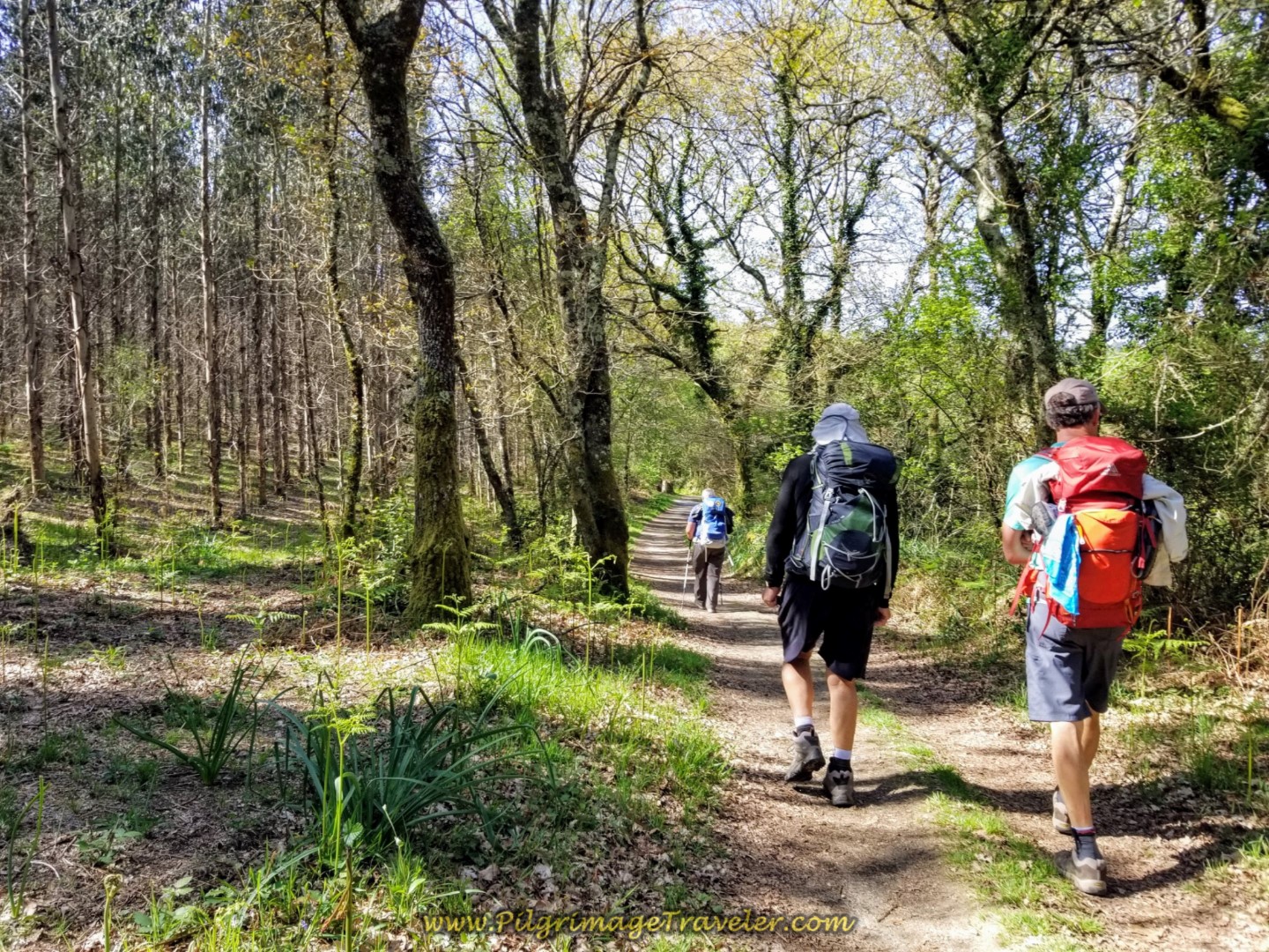 The Wonderful Reprieve From the Sun on day seven of the English Way