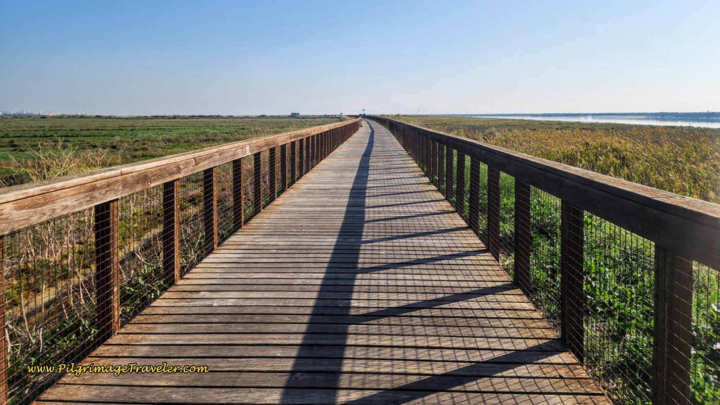 The Long Boardwalk along the Tagus