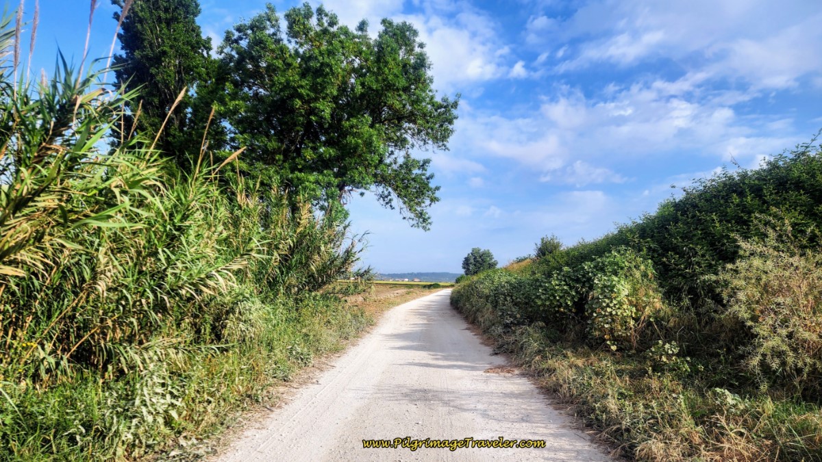 The Way is Apparent, as the Dike Becomes More Natural