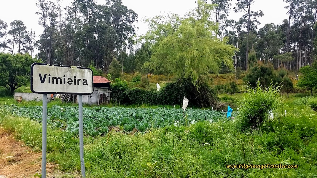 On the Rua São Romão, Entering Vimieira