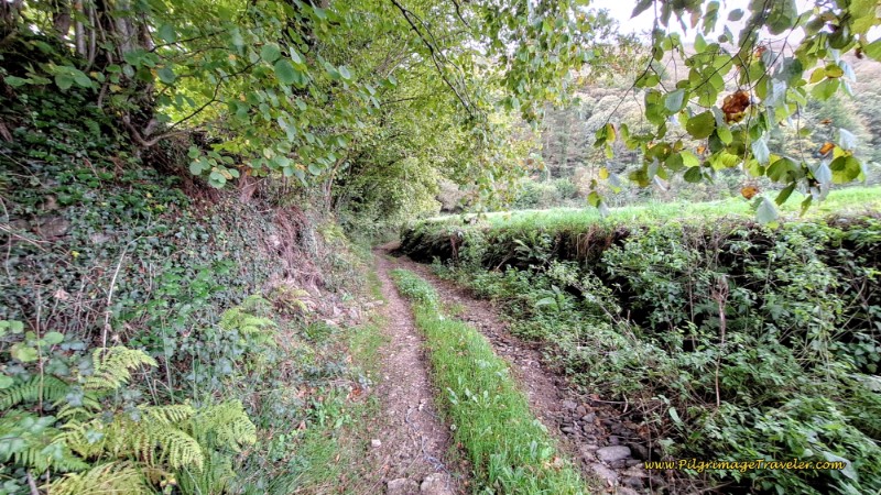 The Farmer's Lane After the Monastery